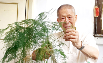 平凡的感動---記公司建廠元老、勞動模范 吳富龍