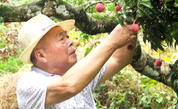 四十三年堅(jiān)守 打磨一顆“匠心”——記公司建廠元老、勞動(dòng)模范姚林根
