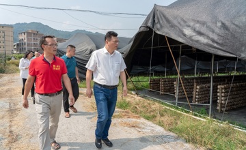 做強(qiáng)特色產(chǎn)業(yè) 賦能鄉(xiāng)村振興