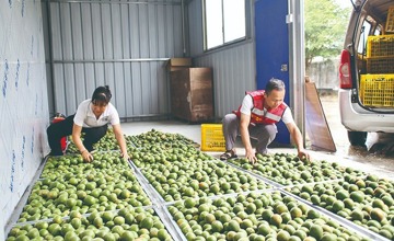 柳工援建烘烤房啟用 “烘” 出思?xì)W村致富新希望