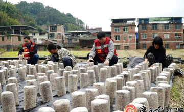 媒體聚焦 | 看柳工定點幫扶村：冬日栽下“金棒”，來年春日綻“金花”