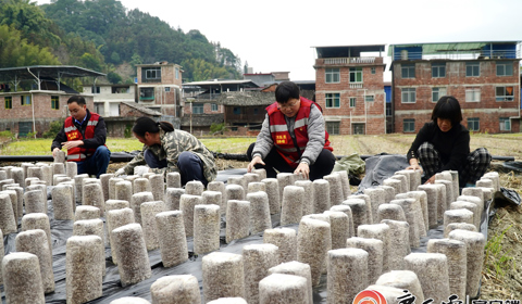 媒體聚焦 | 看柳工定點(diǎn)幫扶村：冬日栽下“金棒”，來(lái)年春日綻“金花”